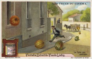La fuite des citrouilles - European School